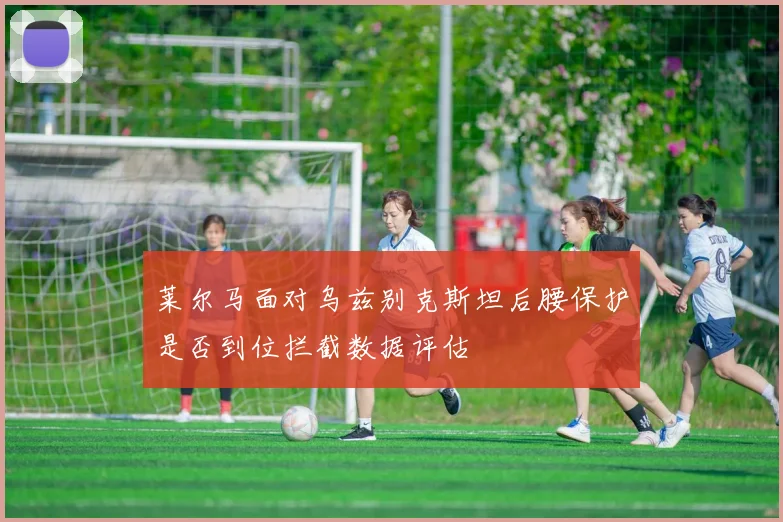 莱尔马面对乌兹别克斯坦后腰保护是否到位拦截数据评估