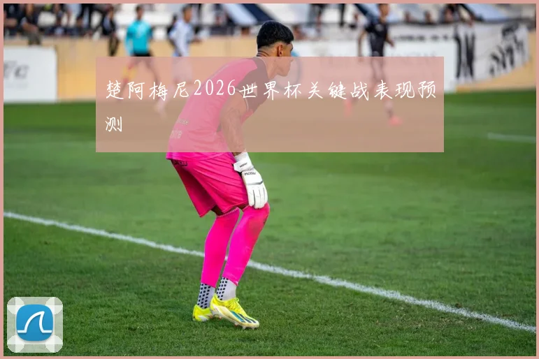 楚阿梅尼2026世界杯关键战表现预测