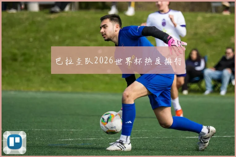 巴拉圭队2026世界杯热度排行