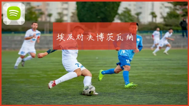 埃及对决博茨瓦纳