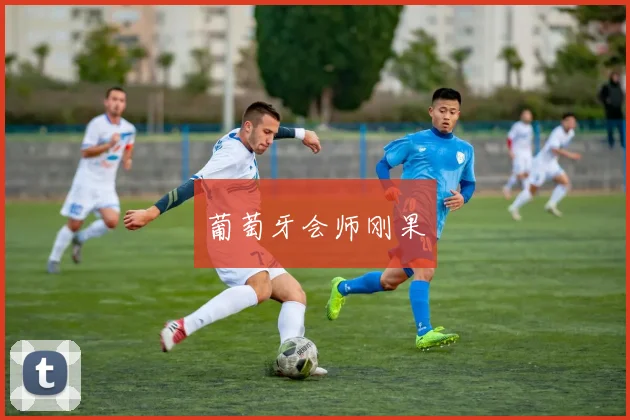 葡萄牙会师刚果