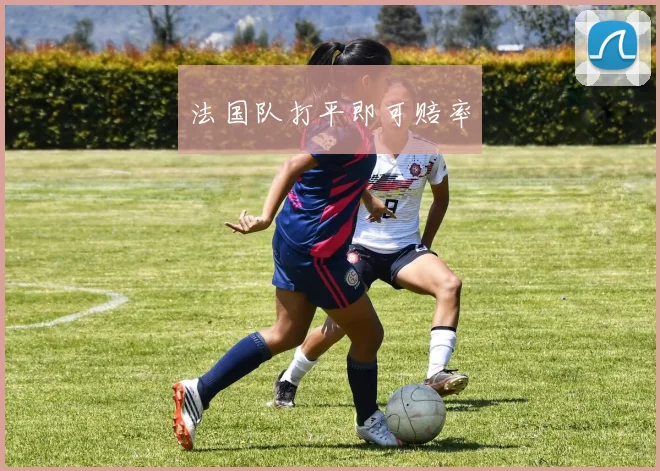 法国队打平即可赔率