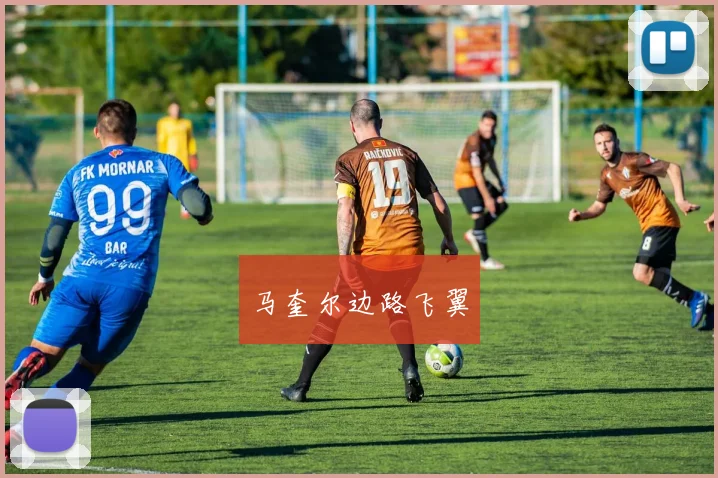 马奎尔边路飞翼