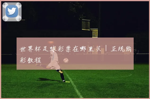 世界杯足球彩票在哪里买｜正规购彩教程