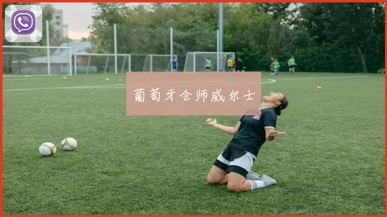 葡萄牙会师威尔士