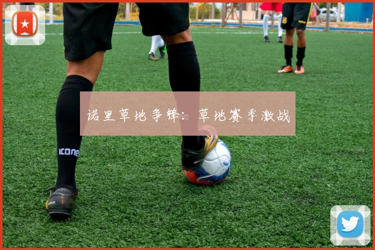 诺里草地争锋：草地赛季激战