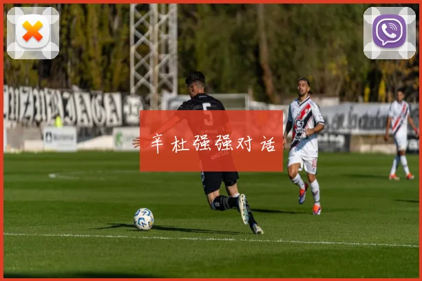 辛杜强强对话