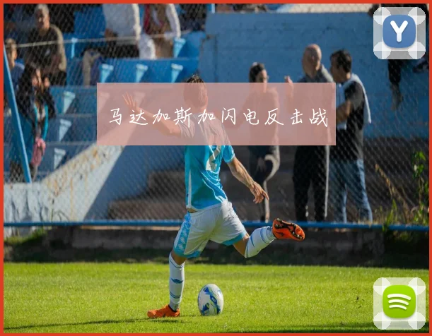 马达加斯加闪电反击战