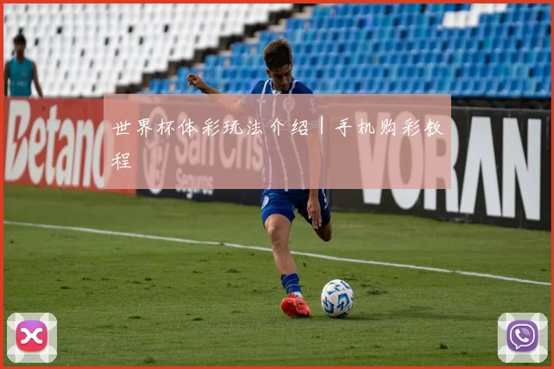 世界杯体彩玩法介绍｜手机购彩教程
