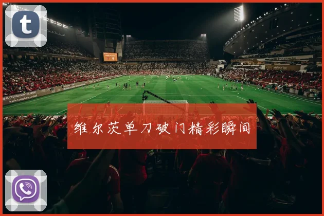 维尔茨单刀破门精彩瞬间