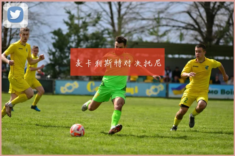 麦卡利斯特对决托尼