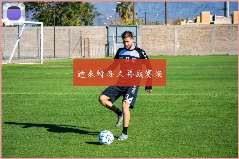 迪米特洛夫再战赛场