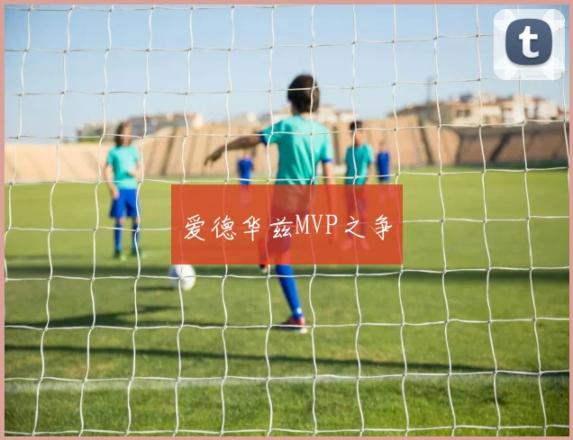 爱德华兹MVP之争