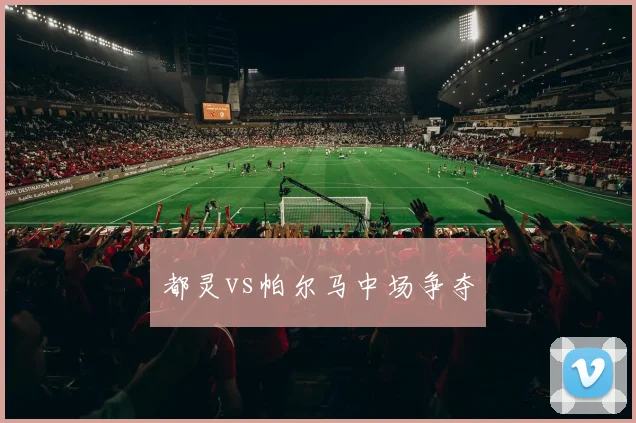 都灵vs帕尔马中场争夺