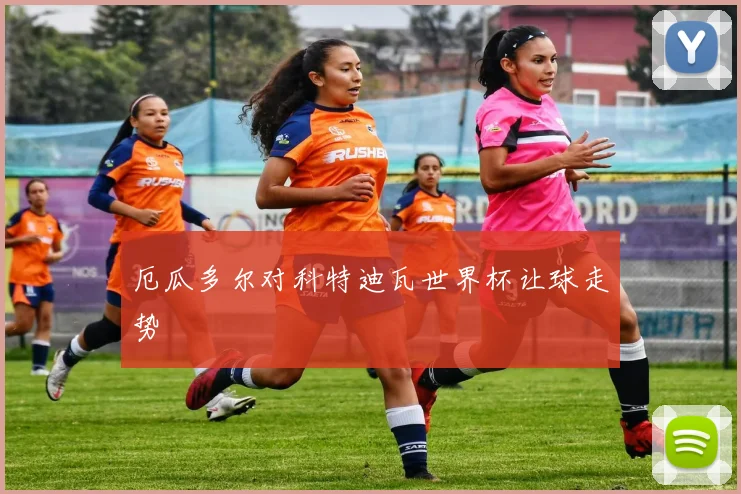 厄瓜多尔对科特迪瓦世界杯让球走势